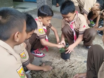 Pemeliharaan Tanaman