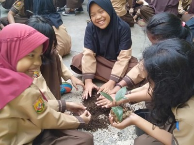 Pemeliharaan Tanaman