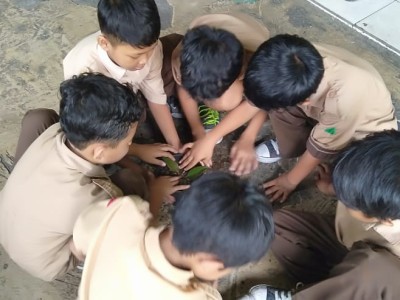 Pemeliharaan Tanaman