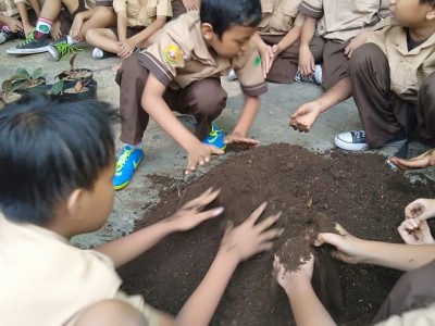 Pemeliharaan Tanaman