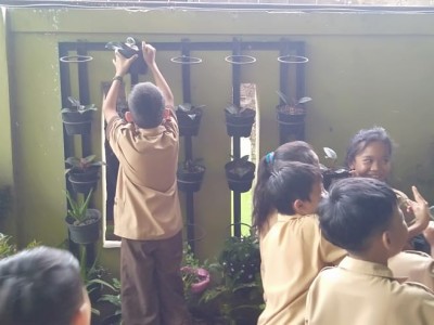 Pemeliharaan Tanaman