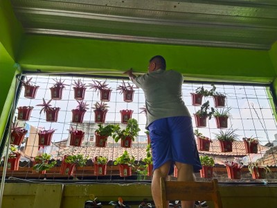 Pemeliharaan Vertical Garden