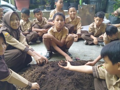 Pemeliharaan Tanaman