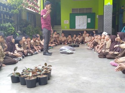 Pemeliharaan Tanaman