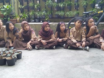 Pemeliharaan Tanaman