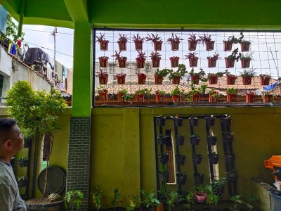Pemeliharaan Vertical Garden