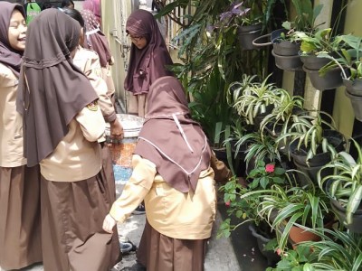 Pemeliharaan Tanaman